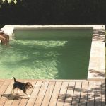 Petite piscine : Où la placer ?